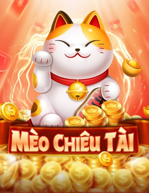 Tam Cúc Miền Bắc